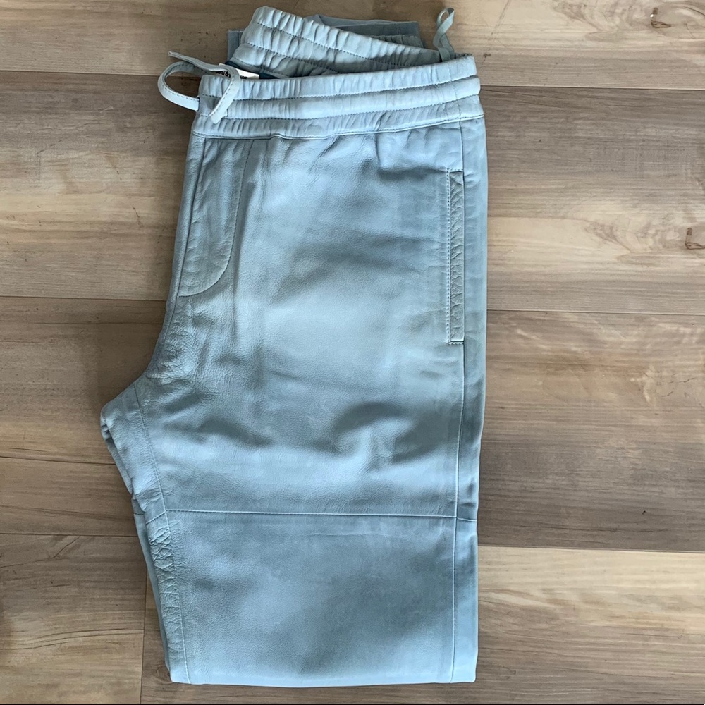 Zadig & Voltaire “Parone” blue leather pants.
